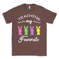 Chestnut Teaching My Favorite Bunny Classic Tee - Bettercallsaul