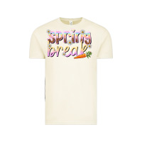 Vintage Arctic Spring break Vintage Tee - NancyCooperArtShop