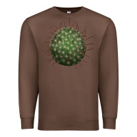 Chestnut arizona fishhook cactus Premium Sweatshirt - LillyAllenDesigns