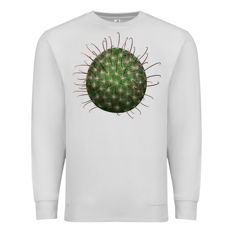 Arizona Fishhook Cactus Premium Sweatshirt by LillyAllenDesigns | Teevron