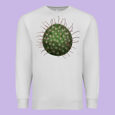 Arizona Fishhook Cactus Premium Sweatshirt Designed By Lillyallendesigns