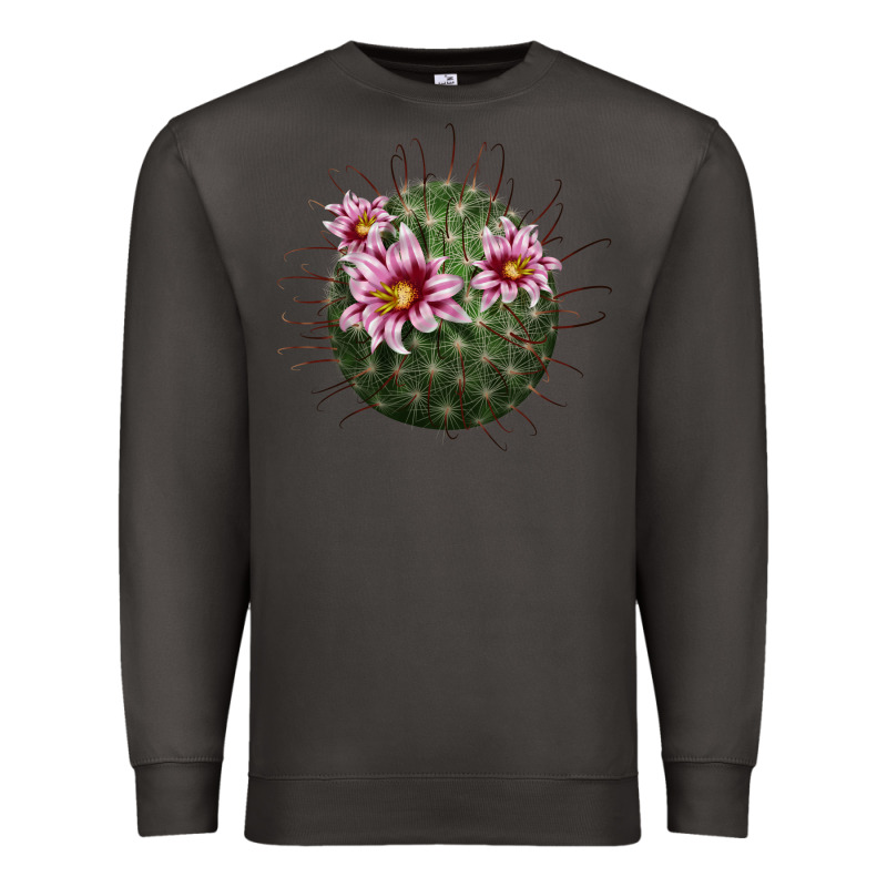 Arizona Fishhook Cactus Premium Sweatshirt by LillyAllenDesigns | Teevron