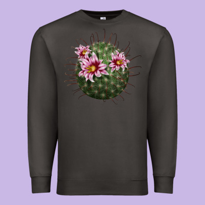 Arizona Fishhook Cactus Premium Sweatshirt Designed By Lillyallendesigns