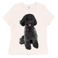 Bone black poodles dog Ladies Tee - LillyAllenDesigns
