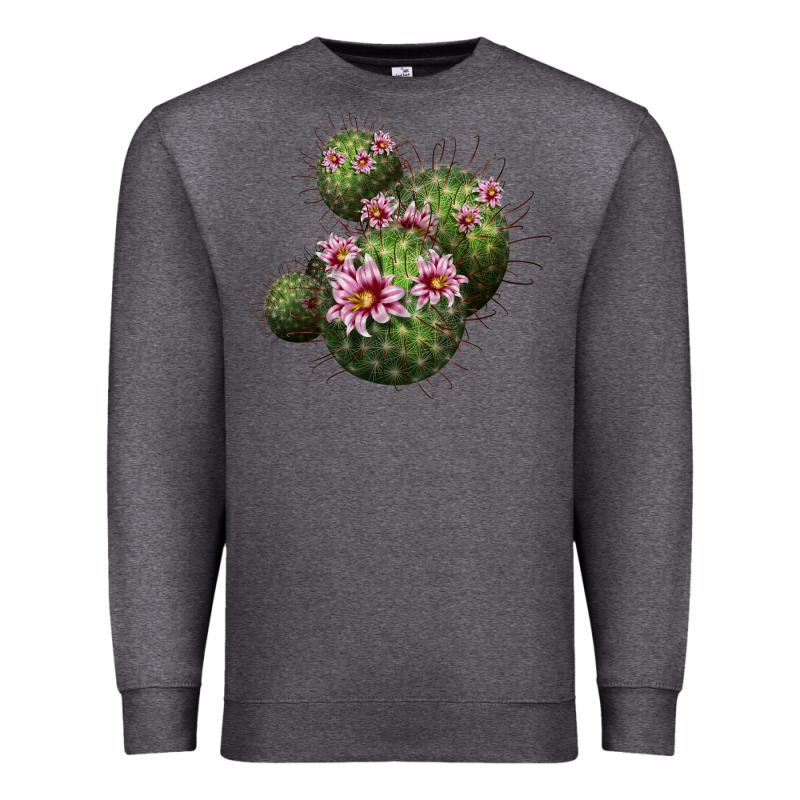 Arizona Fishhook Cacti Premium Sweatshirt by LillyAllenDesigns | Teevron