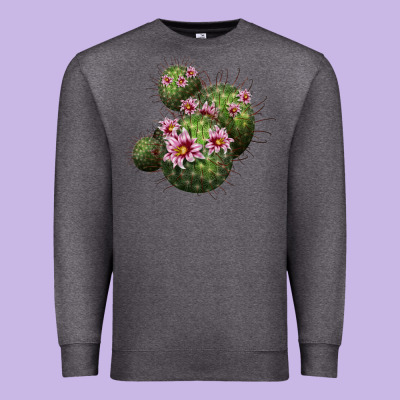 Arizona Fishhook Cacti Premium Sweatshirt Designed By Lillyallendesigns