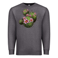 Charcoal Heather arizona fishhook cacti Premium Sweatshirt - LillyAllenDesigns