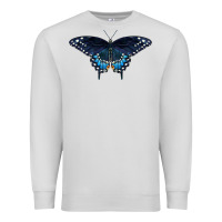 Dove Grey Black Swallowtail Butterfly Premium Sweatshirt - LillyAllenDesigns