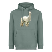 Sage Alpaca Heavyweight Hoodie - LillyAllenDesigns