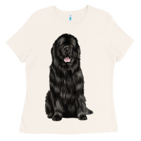 Bone newfoundland dog Ladies Tee - LillyAllenDesigns