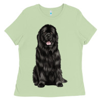 Matcha newfoundland dog Ladies Tee - LillyAllenDesigns