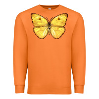 Carrot Cloudless Sulphur Butterfly Premium Sweatshirt - LillyAllenDesigns