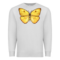 Dove Grey Cloudless Sulphur Butterfly Premium Sweatshirt - LillyAllenDesigns