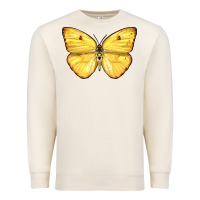Sandshell Cloudless Sulphur Butterfly Premium Sweatshirt - LillyAllenDesigns