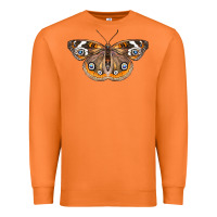 Carrot Common Buckeye Butterfly Premium Sweatshirt - LillyAllenDesigns