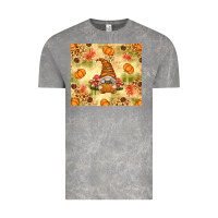 Cloud Rock Fall Pumpkins and Gnome with Leopard Vintage Tee - texasbilliewilder