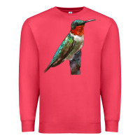 Cardinal Ruby Throated Hummingbird Bird Premium Sweatshirt - LillyAllenDesigns