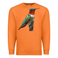 Carrot Ruby Throated Hummingbird Bird Premium Sweatshirt - LillyAllenDesigns