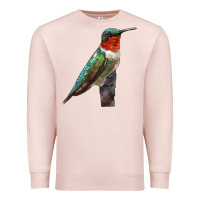 Pale Pink Ruby Throated Hummingbird Bird Premium Sweatshirt - LillyAllenDesigns