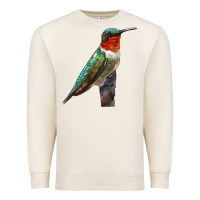 Sandshell Ruby Throated Hummingbird Bird Premium Sweatshirt - LillyAllenDesigns