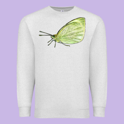 Cabbage White Butterfly Premium Sweatshirt Designed By Lillyallendesigns