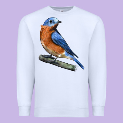 Eastern Bluebird Premium Sweatshirt Designed By Lillyallendesigns
