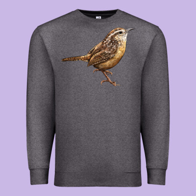 Ccarolina Wren Premium Sweatshirt Designed By Lillyallendesigns