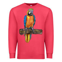 Cardinal blue throated macaw Premium Sweatshirt - LillyAllenDesigns