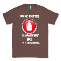 Chestnut I'm Not In Quarantine I'm A Programmer Classic Tee - Bettercallsaul