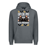 Rock what we do in the shadows christmas sweater design—open my big packa Premium Hoodie - lanVoArt