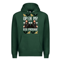 Sports Green what we do in the shadows christmas sweater design—open my big packa Premium Hoodie - lanVoArt