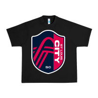 Black st. louis city sc Urban Heavy Tee - lanVoArt