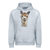 Heather Grey alpaca Urban Hoodie - BarkalooDesign