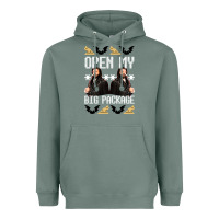 Sage what we do in the shadows christmas sweater design—open my big packa Heavyweight Hoodie - lanVoArt