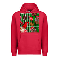 Cardinal american football gnomes Premium Hoodie - BundleAndBundleShop