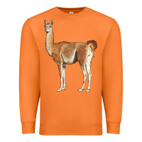 Carrot guanaco llama Premium Sweatshirt - LillyAllenDesigns