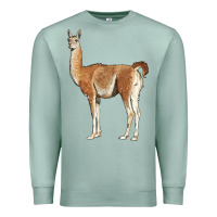 Seafoam guanaco llama Premium Sweatshirt - LillyAllenDesigns