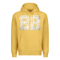 Antique Gold Number 22 Sports Jersey Lucky No. Birthday Age Vintage Premium Hoodie - tuanDangUi