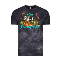 Cloud Black Hey Pumpkin Vintage Tee - texasbilliewilder