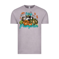 Vintage Zinc Hey Pumpkin Vintage Tee - texasbilliewilder