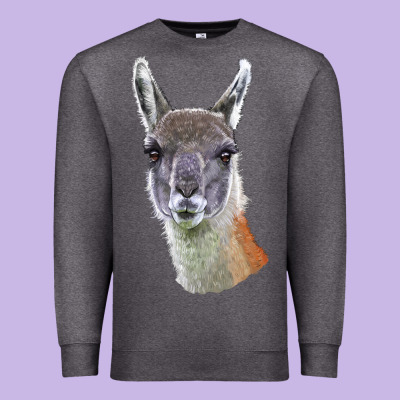 Guanaco Llama Head Premium Sweatshirt Designed By Lillyallendesigns