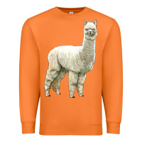 Carrot Alpaca Premium Sweatshirt - LillyAllenDesigns