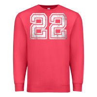 Cardinal Number 22 Sports Jersey Lucky No. Birthday Age Vintage Premium Sweatshirt - tuanDangUi