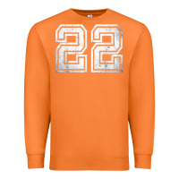 Carrot Number 22 Sports Jersey Lucky No. Birthday Age Vintage Premium Sweatshirt - tuanDangUi