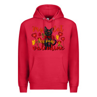 Cardinal my cat is my valentine valentine's day Premium Hoodie - FaDigitalArtStudio