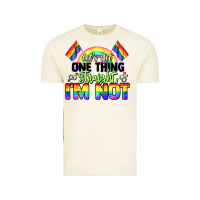Vintage Arctic Let's get one thing straight i'm not Pride LGBTQ+ Vintage Tee - NancyCooperArtShop