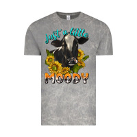 Cloud Rock Just a Little Moody Vintage Tee - texasbilliewilder