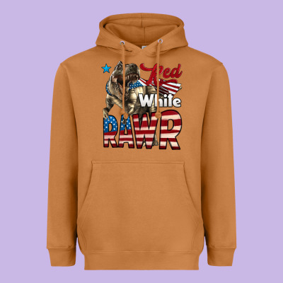 Red White Rawr Dinosaur T-rex Heavyweight Hoodie Designed By Lillyallendesigns