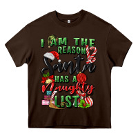 Chocolate Brown i am the reason santa has a naughty list Heavy Core Tee - MaliasSmallBusiness