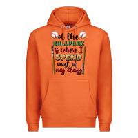 At The Ballpark Is Where I Spend Most My Days Premium Hoodie | Teevron